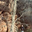 ���������� ������, ���� ������� ���������, 37 ���, ������������ ��� ������, ����� � ���������