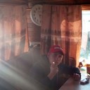 ���������� ����������, ���� ������� ���������, 38 ���, ������������ ��� c�������� ���������, ���������