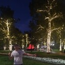 ���������� ���������, ���� ������� �������, 37 ���, ������������ ��� ����� � ���������, c�������� ���������, ���������