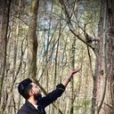 ���������� �����, ���� ������� �������, 29 ���, ������������ ��� ������, ����� � ���������