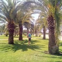 ���������� ���������, ���� ������� �������, 52 ����, ������������ ��� ����� � ���������, c�������� ���������