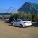 ���������� ����, ���� ������� Leon, 45 ���, ������������ ��� ������, ����� � ���������, c�������� ���������