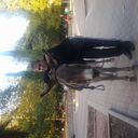 ���������� ����, ���� ������� �����, 37 ���, ������������ ��� ������, ����� � ���������, c�������� ���������, ���������