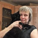 ���������� �������, ���� ������� ������, 53 ����, ������������ ��� c�������� ���������