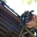 ���������� �����������, ���� ������� ����, 43 ����, ������������ 