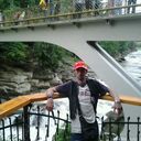  ,   Ptica, 43 ,   ,   , c 