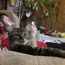 ���������� ��������, ���� ������� Jimi, 39 ���, ������������ ��� ������, ����� � ���������, c�������� ���������, ���������