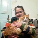  ,   , 54 ,   c , 