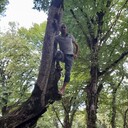 ���������� �������, ���� ������� ����, 45 ���, ������������ ��� ������, ����� � ���������