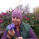  ,   , 55 ,   c 