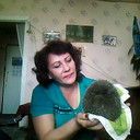  ,   , 55 ,   ,   , c 