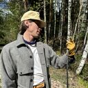 ���������� ������, ���� ������� �������, 31 ���, ������������ ��� ����� � ���������, c�������� ���������