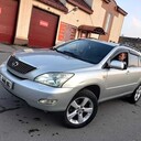 ���������� �����������, ���� ������� ����, 42 ����, ������������ ��� ����� � ���������, c�������� ���������