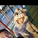 ���������� ������, ���� ������� Art, 31 ���, ������������ ��� ������, ����� � ���������, c�������� ���������