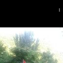 ���������� ���, ���� ������� �����, 37 ���, ������������ ��� ������, ����� � ���������