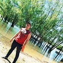  --,   , 38 ,   ,   
