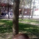  ,   , 39 ,     , c , 