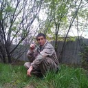  -,   , 43 ,   ,   , c 
