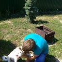 ���������� ���������, ���� ������� �����, 33 ����, ������������ ��� ������, ����� � ���������, c�������� ���������