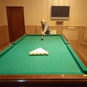 ,   , 42 ,   ,   , c 