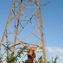  ,   , 31 ,   ,   , c 