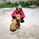 ���������� ������-��-����, ���� ������� ���, 28 ���, ������������ ��� ������, ����� � ���������