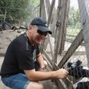 ���������� ����, ���� ������� ��������, 56 ���, ������������ ��� ����� � ���������, c�������� ���������