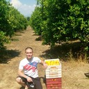 ���������� ������, ���� ������� �����, 41 ���, ������������ ��� ������, ����� � ���������, c�������� ���������