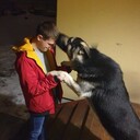  ,   Sergey, 30 ,   ,   