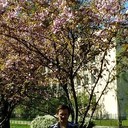 ���������� �����-���������, ���� ������� �����, 53 ����, ������������ ��� ����� � ���������, c�������� ���������