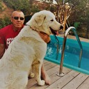 ���������� �����������, ���� ������� ������, 49 ���, ������������ ��� ������, ����� � ���������, c�������� ���������