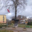 ���������� ����, ���� ������� ����, 37 ���, ������������ ��� ������, ����� � ���������, c�������� ���������