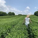 ���������� ������, ���� ������� �������, 31 ���, ������������ ��� ������, ����� � ���������