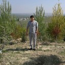 ���������� ������, ���� ������� Amir, 34 ����, ������������ ��� ����� � ���������, c�������� ���������