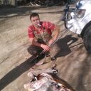  ,   Artem, 37 ,     , c 