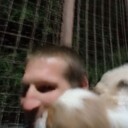  ,   , 38 ,   c 