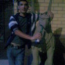 ���������� ����, ���� ������� Qabil, 37 ���, ������������ ��� ������, ����� � ���������, c�������� ���������