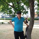  ,   , 61 ,   , 