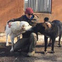 ���������� ������, ���� ������� �����, 38 ���, ������������ ��� ������, ����� � ���������, c�������� ���������, ���������