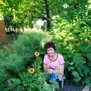  ,   , 60 ,  