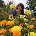  ,   , 59 ,   c 