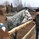 ���������� ������, ���� ������� �����, 46 ���, ������������ ��� ������, ����� � ���������, c�������� ���������