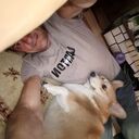 ���������� ������, ���� ������� �������, 48 ���, ������������ ��� ������, ����� � ���������, ���������