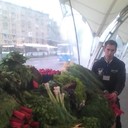 ���������� ������, ���� ������� �����, 34 ����, ������������ ��� ������