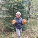 ���������� �����, ���� ������� �������, 60 ���, ������������ ��� c�������� ���������