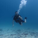 ���������� ������, ���� ������� ����, 31 ���, ������������ ��� ������, ����� � ���������