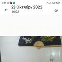 ���������� �������, ���� ������� XAMID, 46 ���, ������������ ��� ������, ����� � ���������