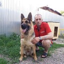 ���������� ������, ���� ������� �������, 50 ���, ������������ ��� ������, ����� � ���������, c�������� ���������