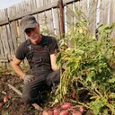 ���������� �����������, ���� ������� ���������, 69 ���, ������������ ��� ����� � ���������, c�������� ���������