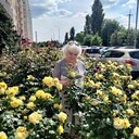 ���������� ���������, ���� ������� �������, 69 ���, ������������ ��� c�������� ���������, ���������